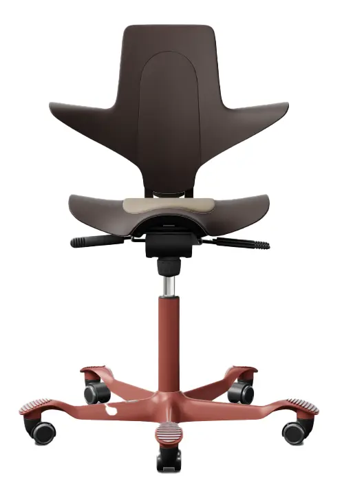 Product Variation Image