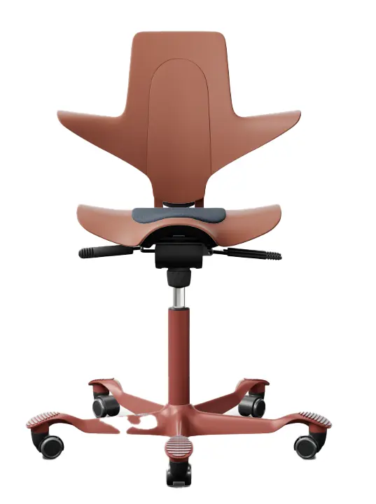 Product Variation Image