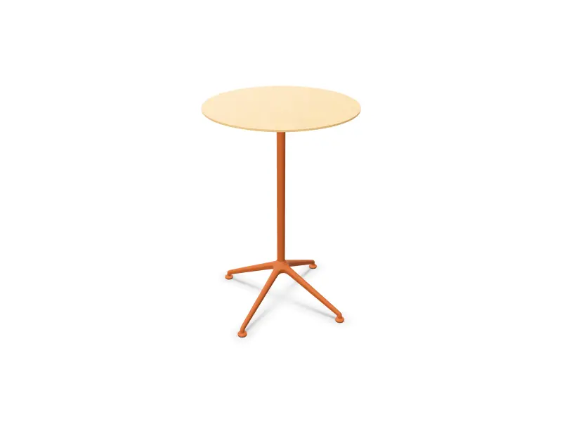 Product Variation Image