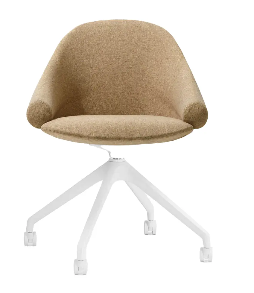 Product Variation Image
